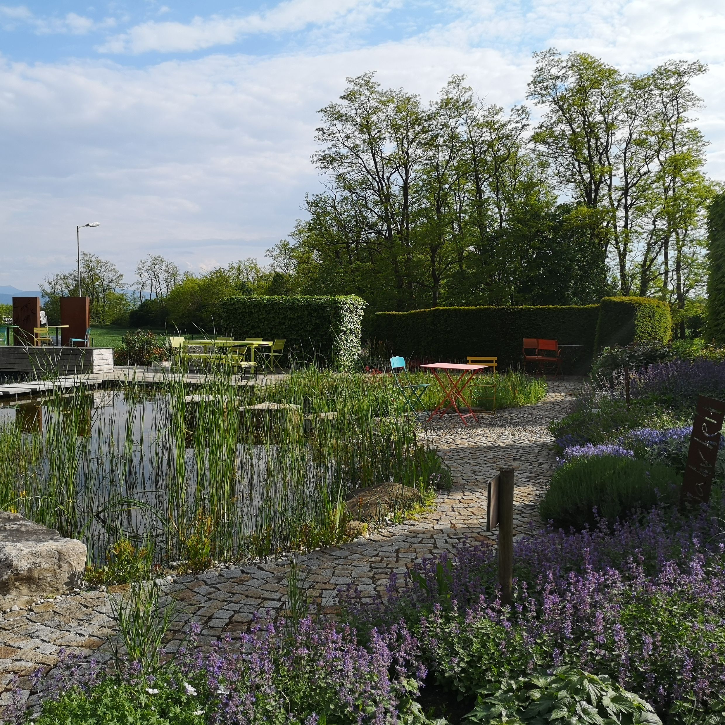 Schaugarten | Dallhammer GmbH in St. Pölten