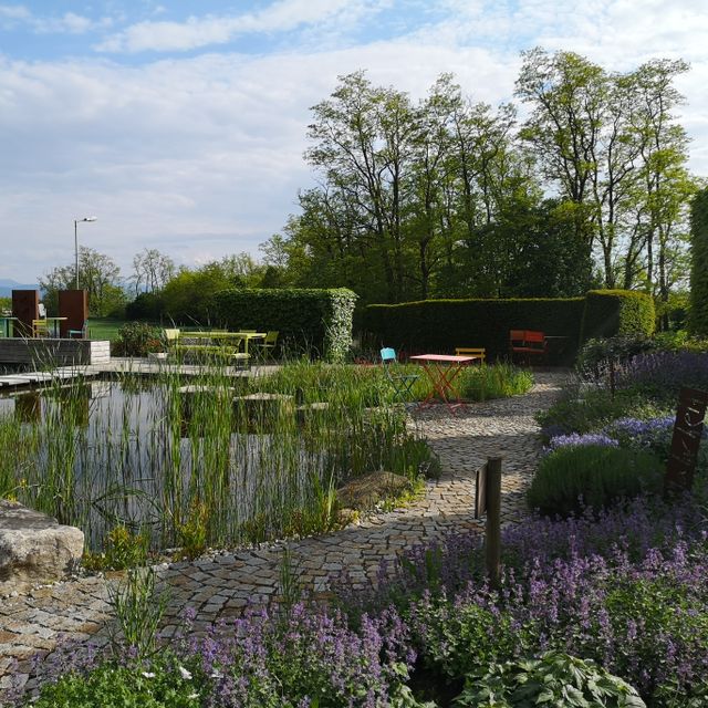 Schaugarten | Dallhammer GmbH in St. Pölten