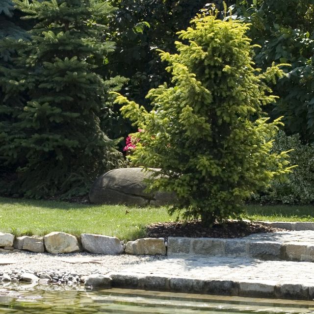Gartengestaltung | St. Pölten