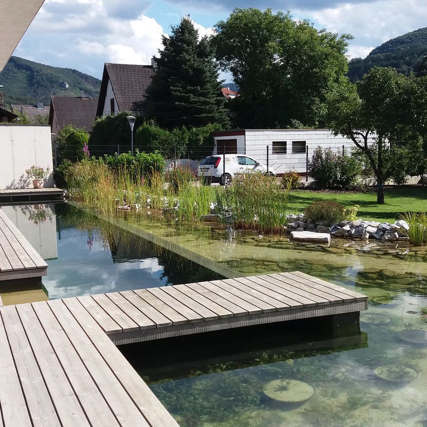 Naturpool | St. Pölten