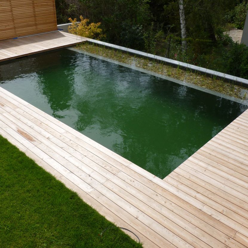 Naturpool | St. Pölten