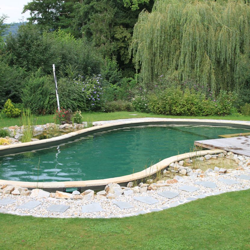 Naturpool | St. Pölten