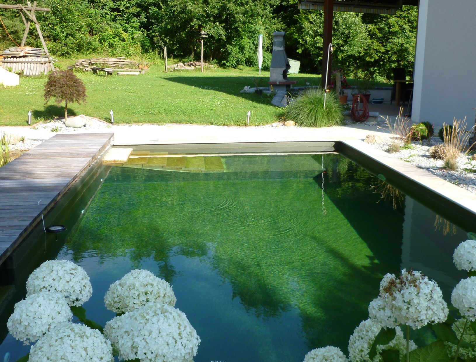 Naturpool | St. Pölten