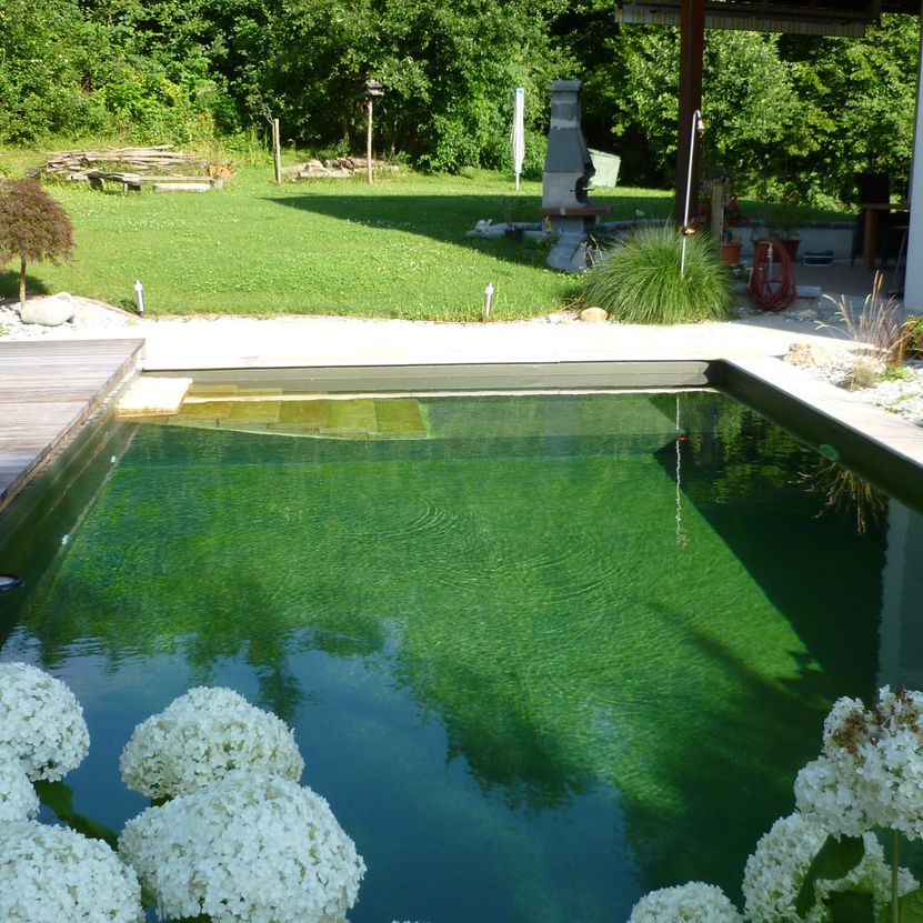 Naturpool | St. Pölten