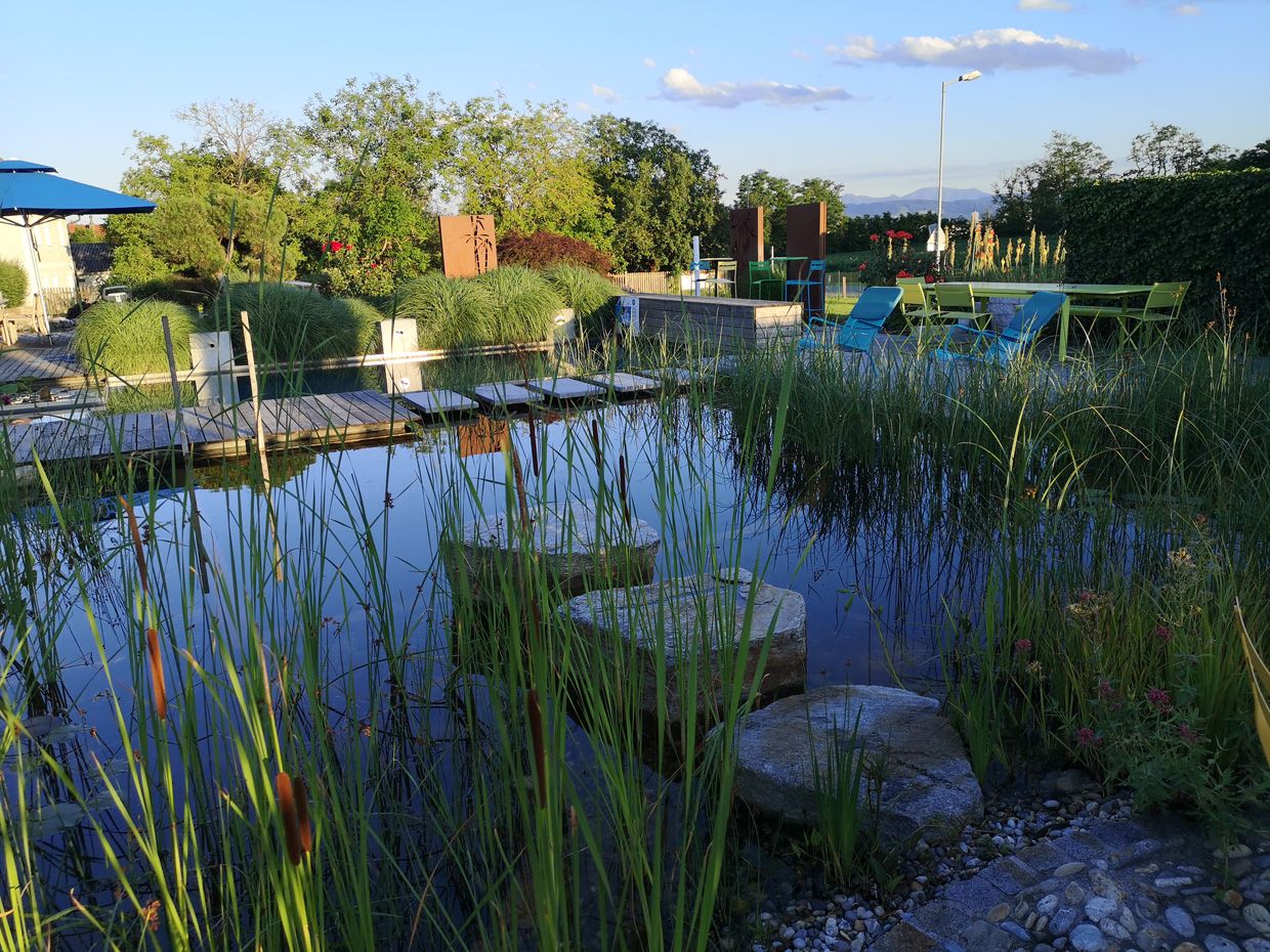 Schaugarten | Dallhammer GmbH in St. Pölten