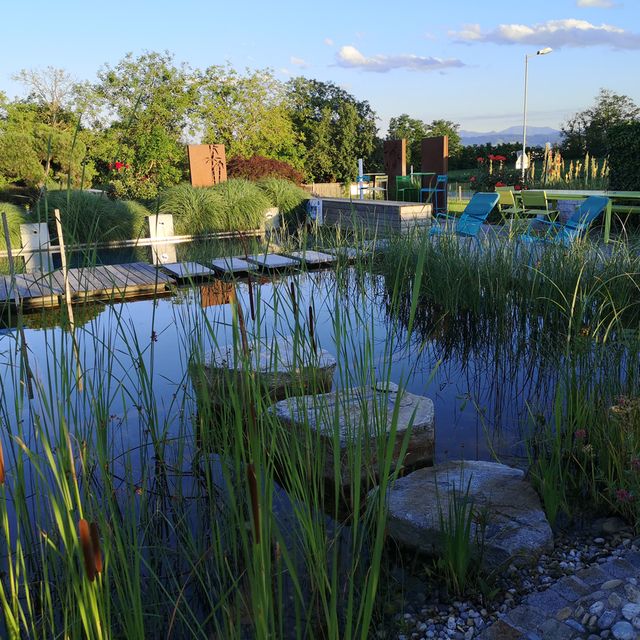 Schaugarten | Dallhammer GmbH in St. Pölten