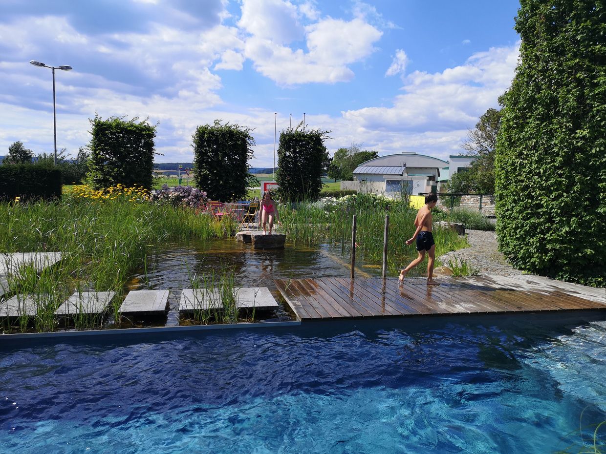 Schaugarten | Dallhammer GmbH in St. Pölten