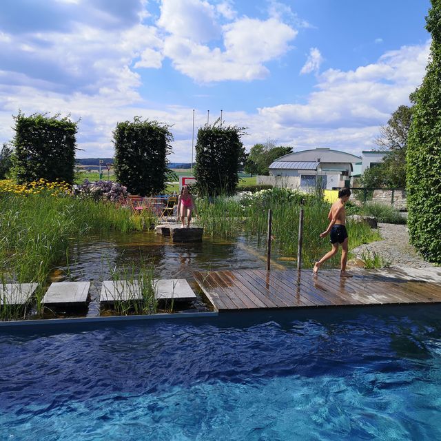 Schaugarten | Dallhammer GmbH in St. Pölten
