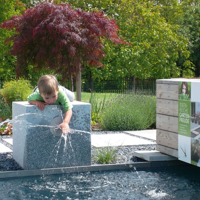 Schaugarten | Dallhammer GmbH in St. Pölten