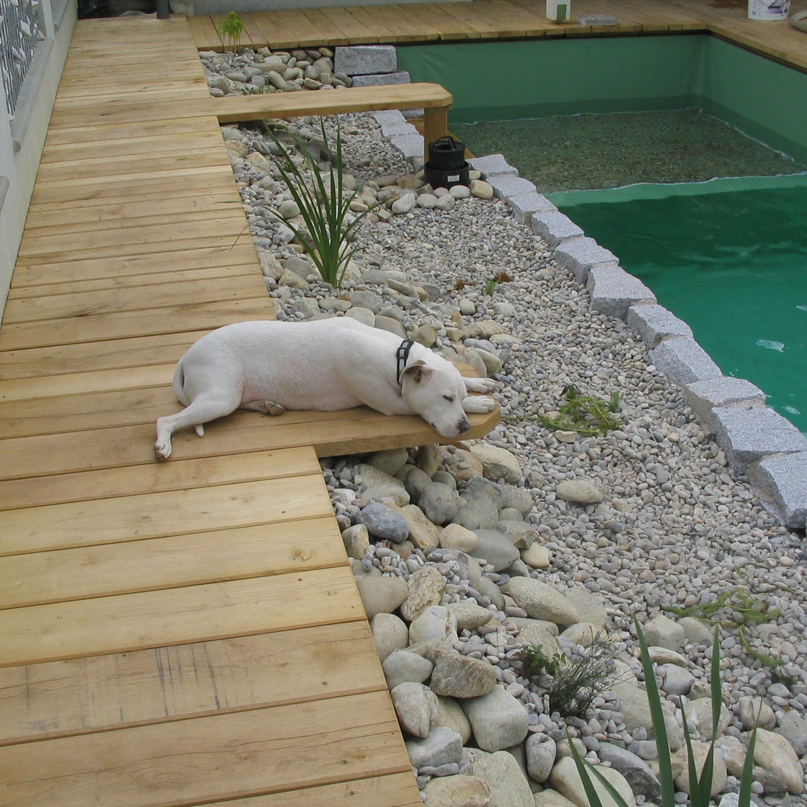 Holz im Garten | Gartengestaltung