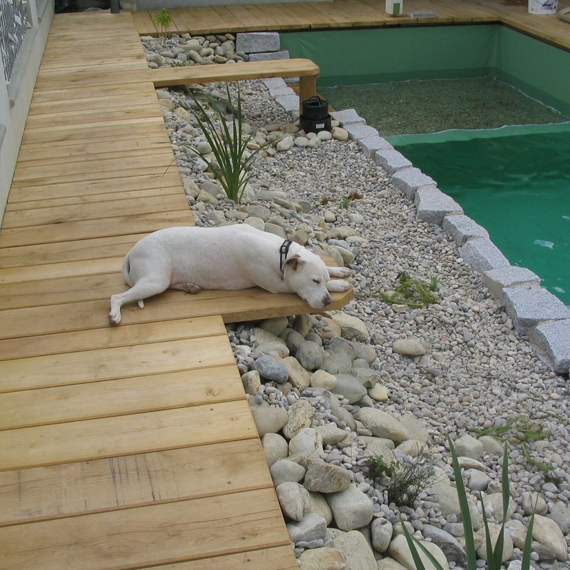 Holz im Garten | Gartengestaltung