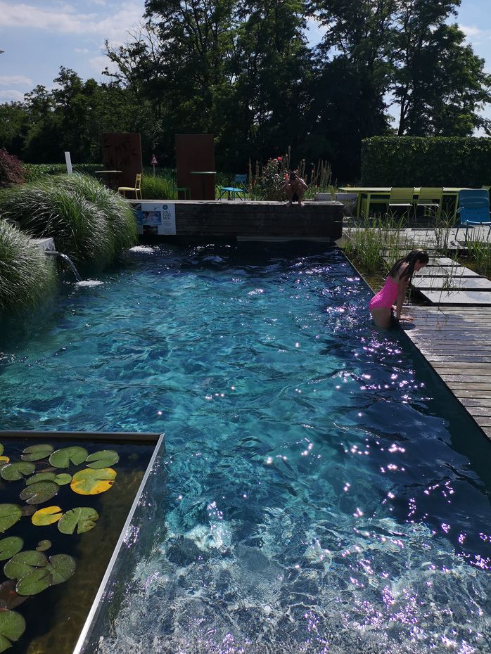 Schaugarten | Dallhammer GmbH in St. Pölten