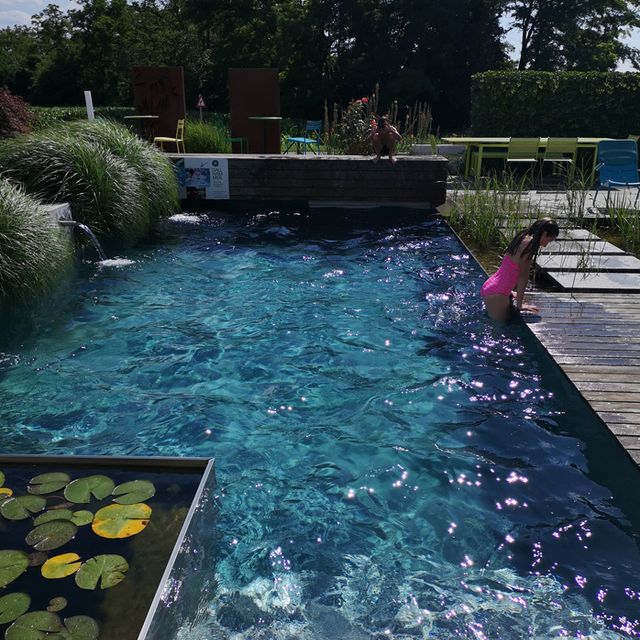 Schaugarten | Dallhammer GmbH in St. Pölten