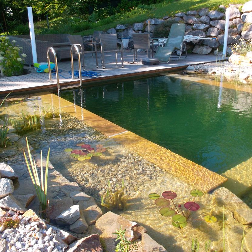 Naturpool | St. Pölten