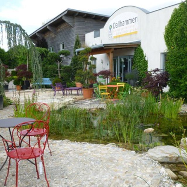 Schaugarten | Dallhammer GmbH in St. Pölten