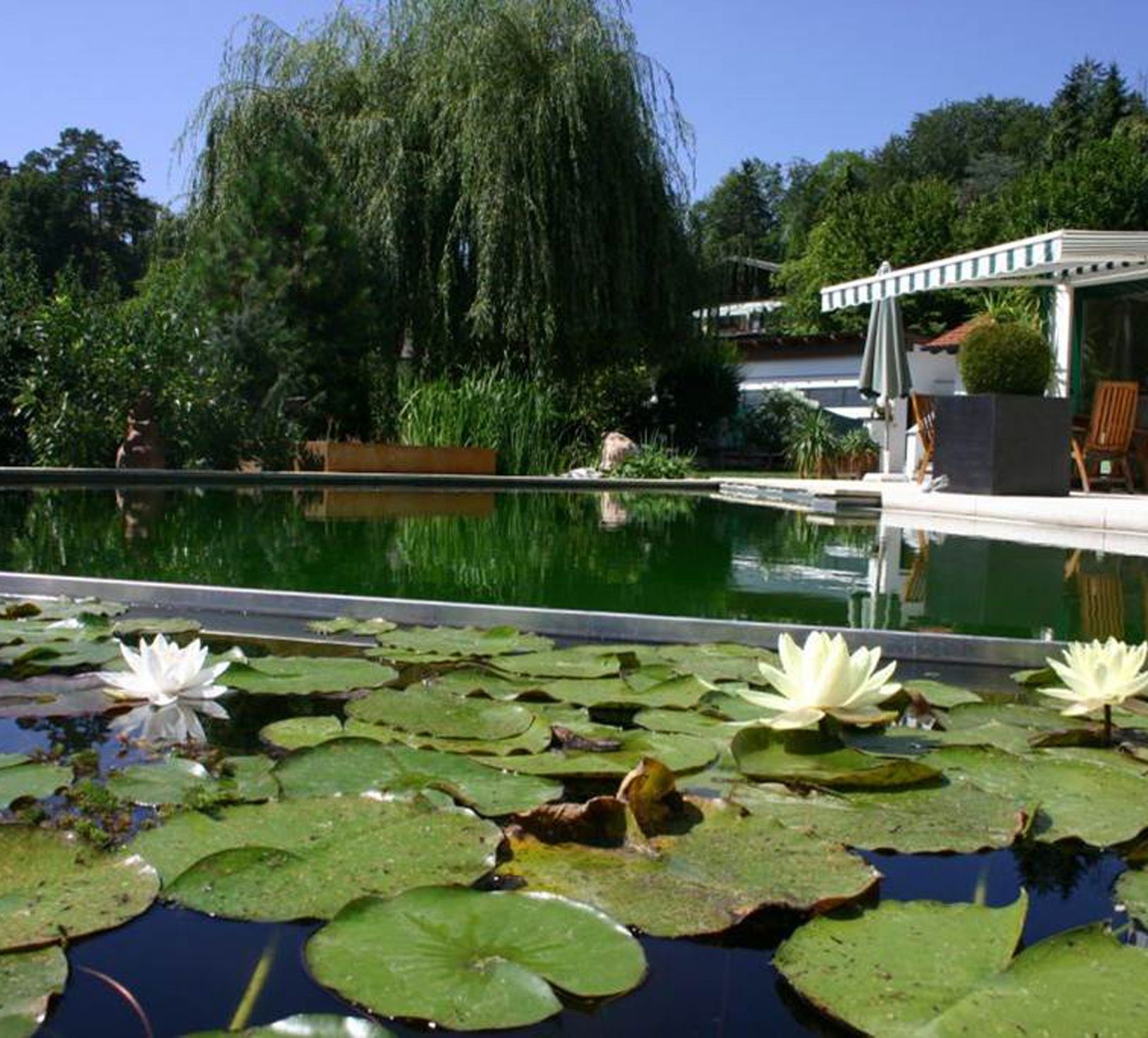 Naturpool | St. Pölten