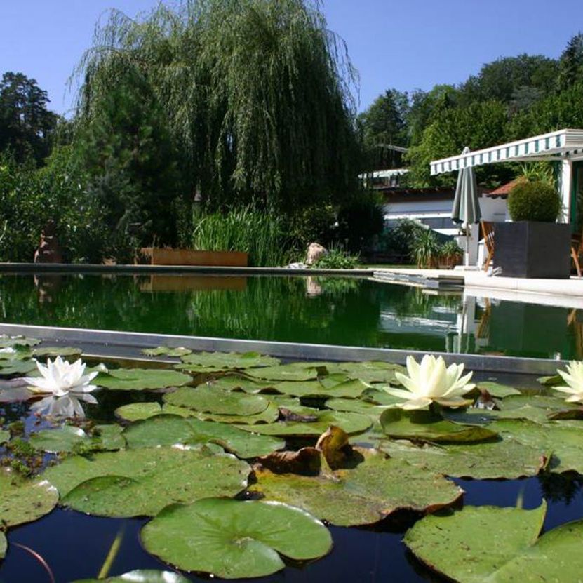 Naturpool | St. Pölten