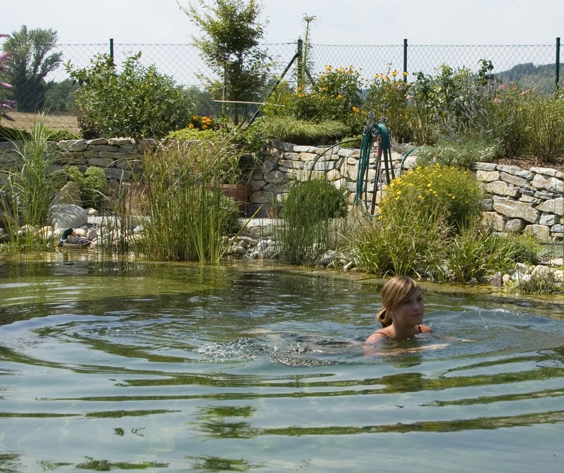 Schwimmteich | St. Pölten