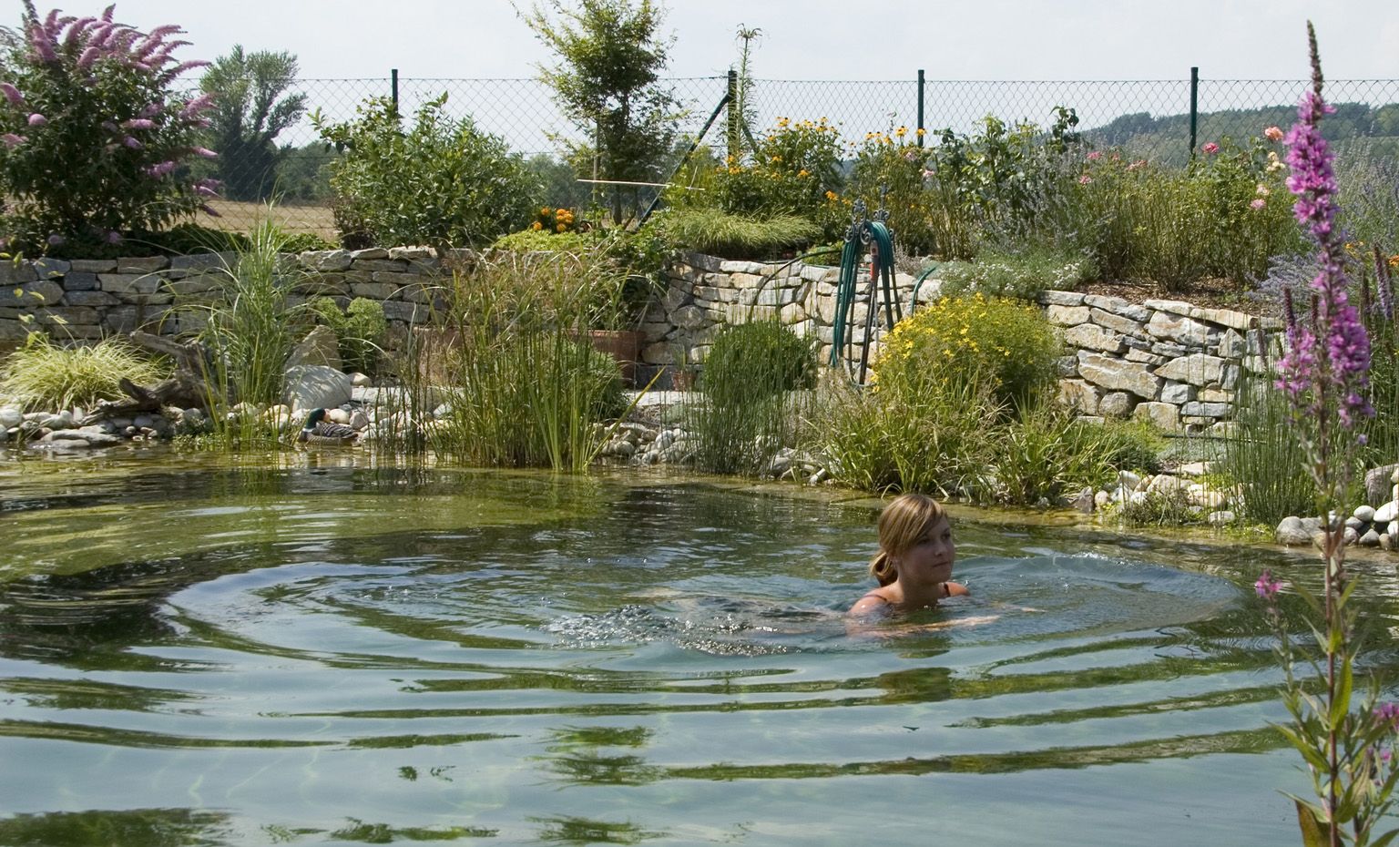 Schwimmteich | St. Pölten