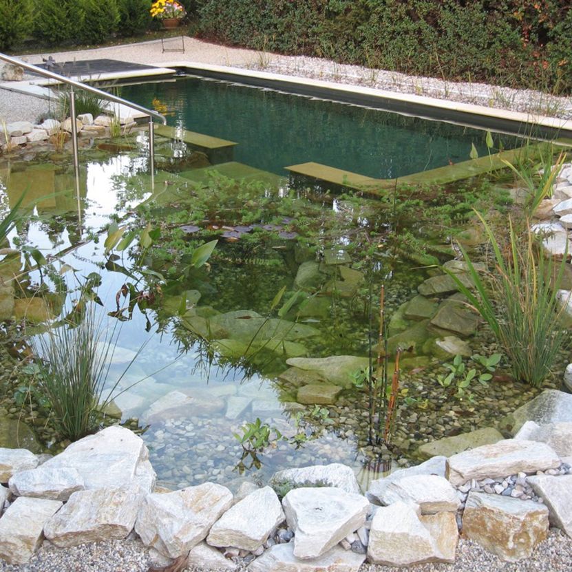 Naturpool | St. Pölten