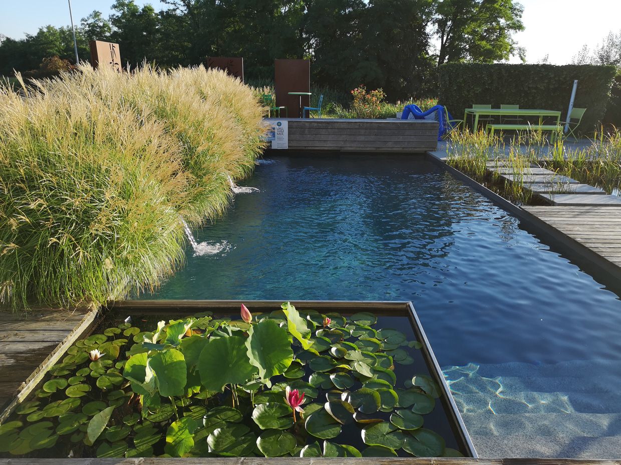 Schaugarten | Dallhammer GmbH in St. Pölten