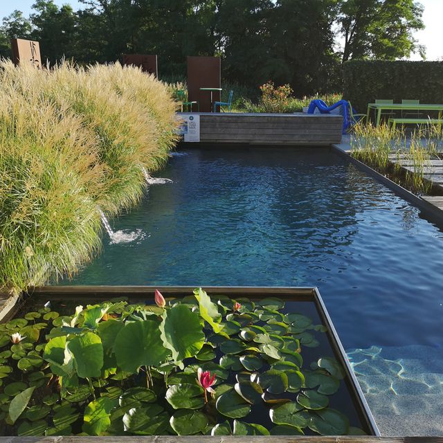 Schaugarten | Dallhammer GmbH in St. Pölten