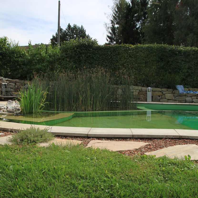 Naturpool | St. Pölten