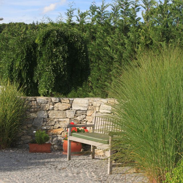 Gartengestaltung | St. Pölten