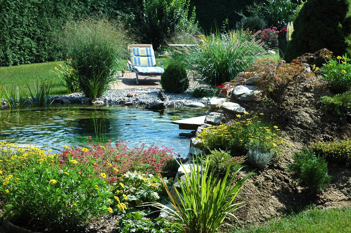 Schwimmteich | St. Pölten