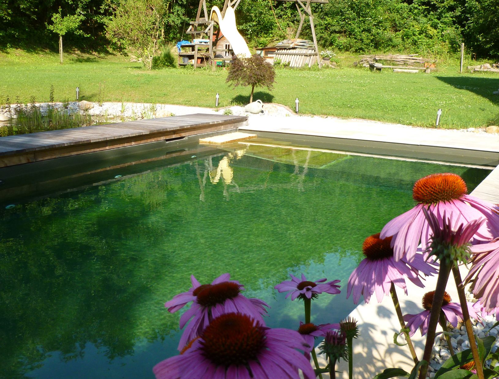 Naturpool | St. Pölten