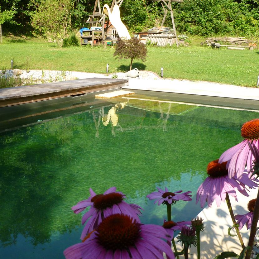 Naturpool | St. Pölten