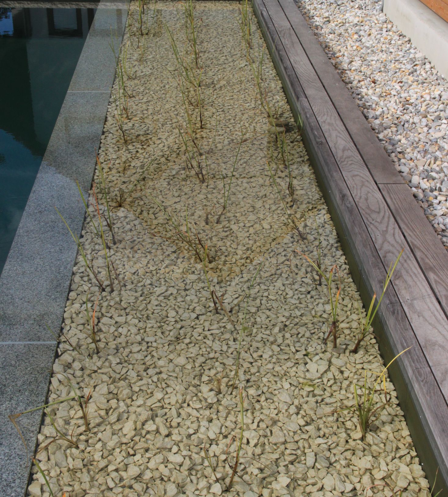 Naturpool | St. Pölten