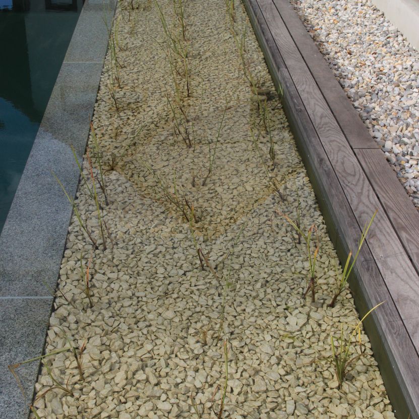 Naturpool | St. Pölten
