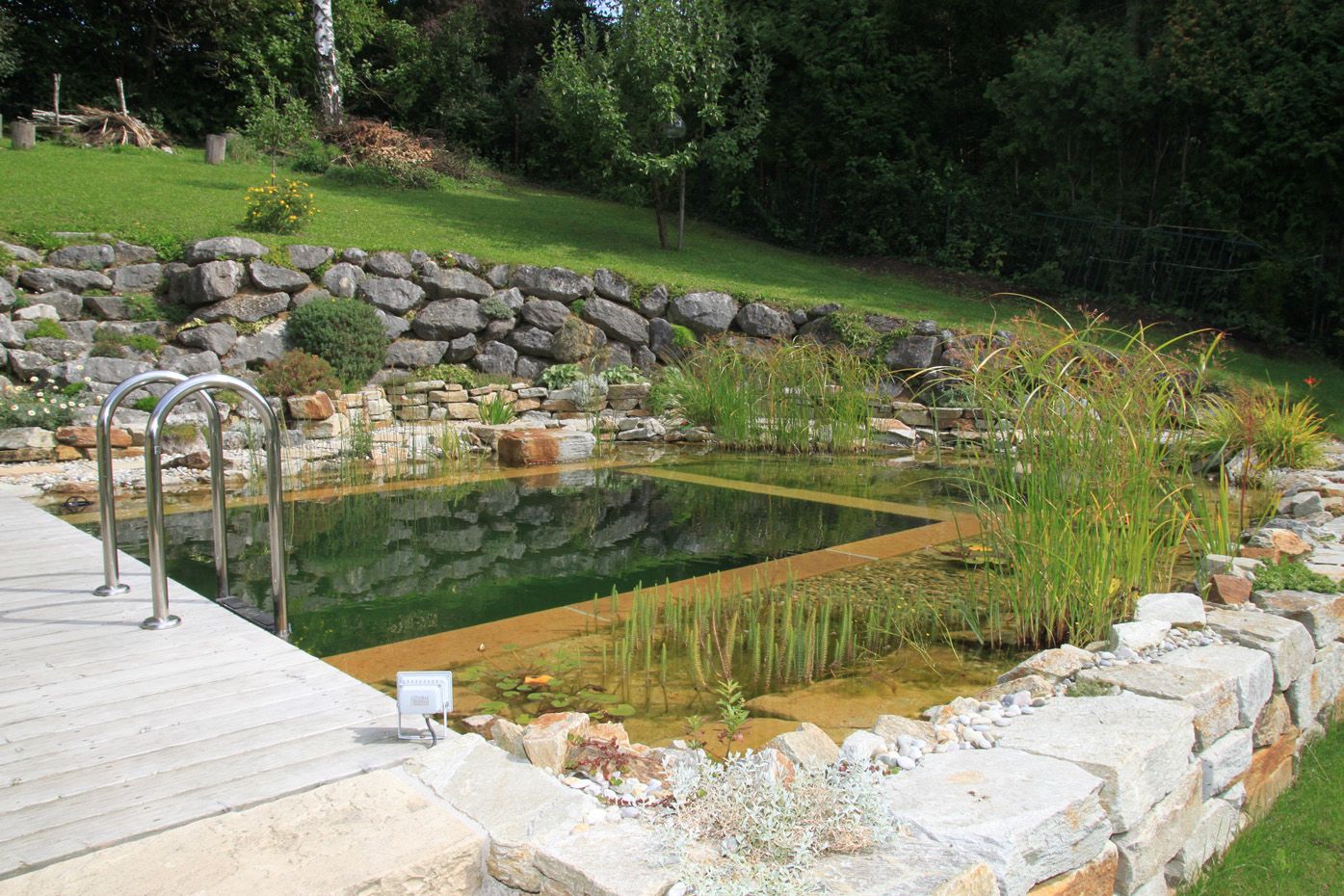 Schwimmteich | St. Pölten