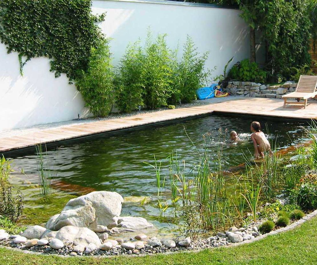 Schwimmteich | St. Pölten
