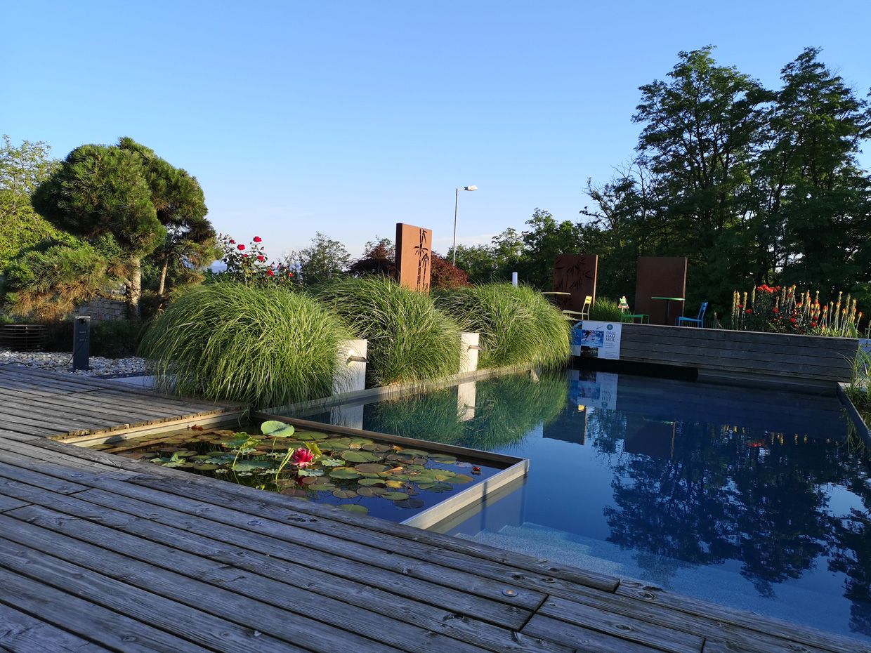 Schaugarten | Dallhammer GmbH in St. Pölten