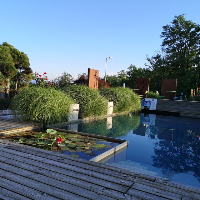 Schaugarten | Dallhammer GmbH in St. Pölten