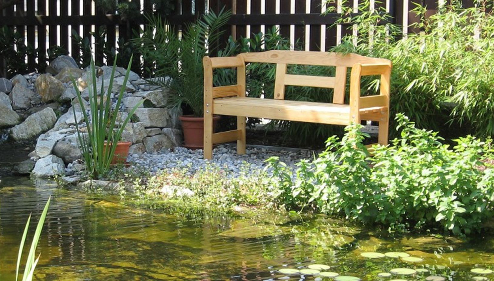 Schwimmteich | St. Pölten