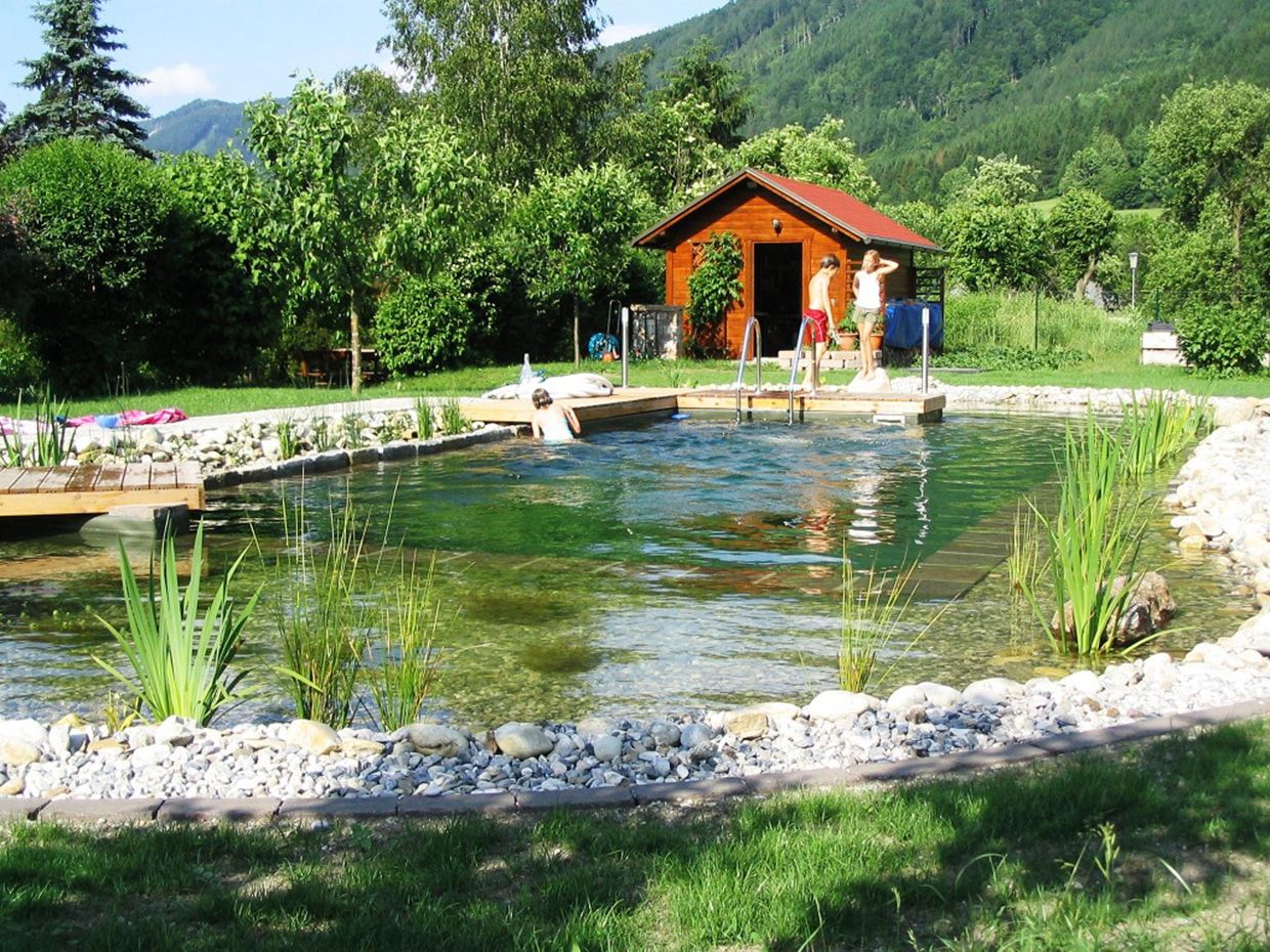 Schwimmteich | St. Pölten