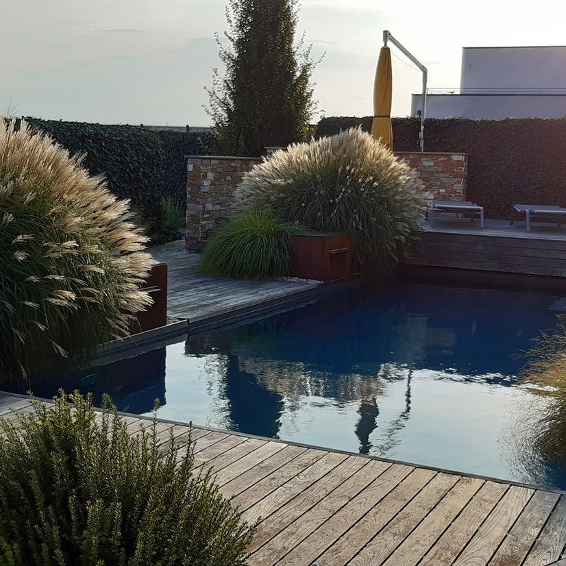 Gärtnerpool | Niederösterreich