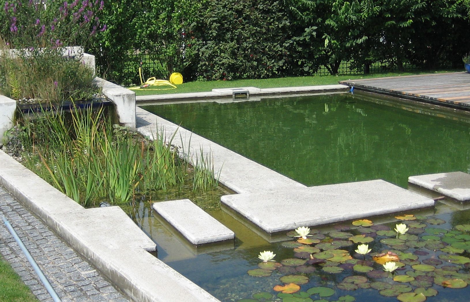 Naturpool | St. Pölten