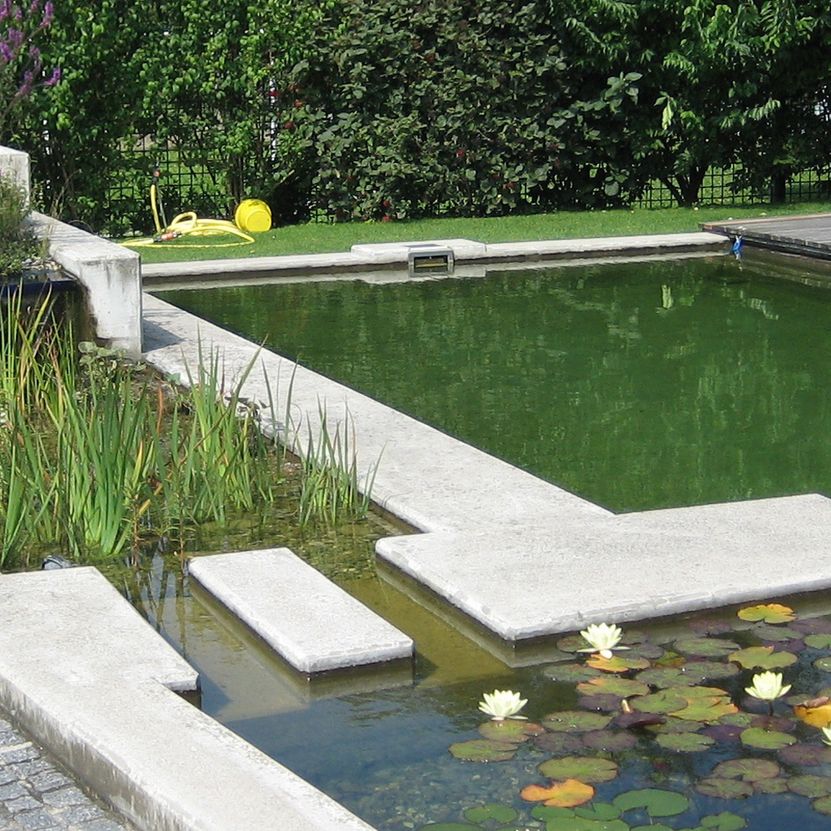 Naturpool | St. Pölten