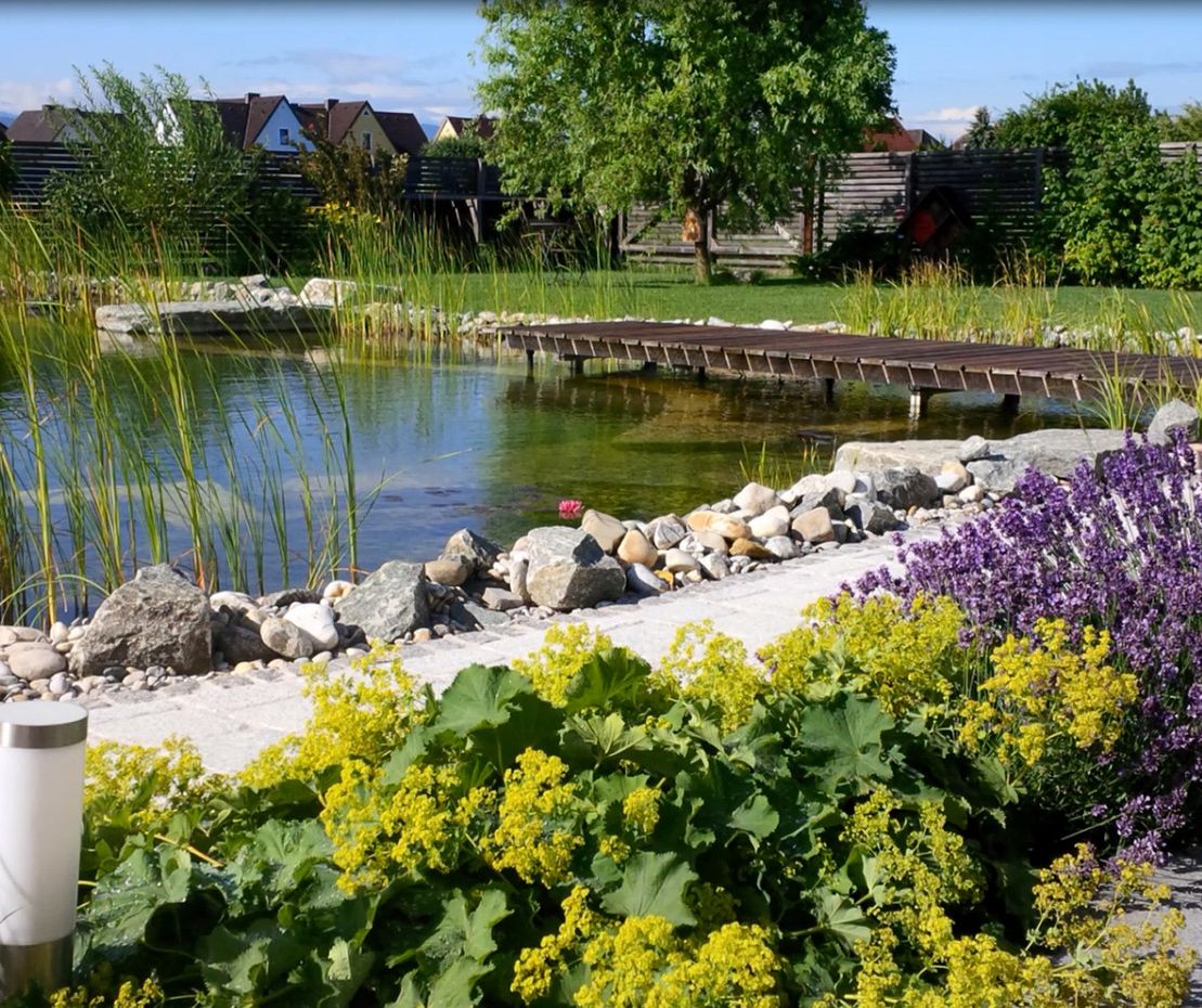 Schwimmteich | St. Pölten