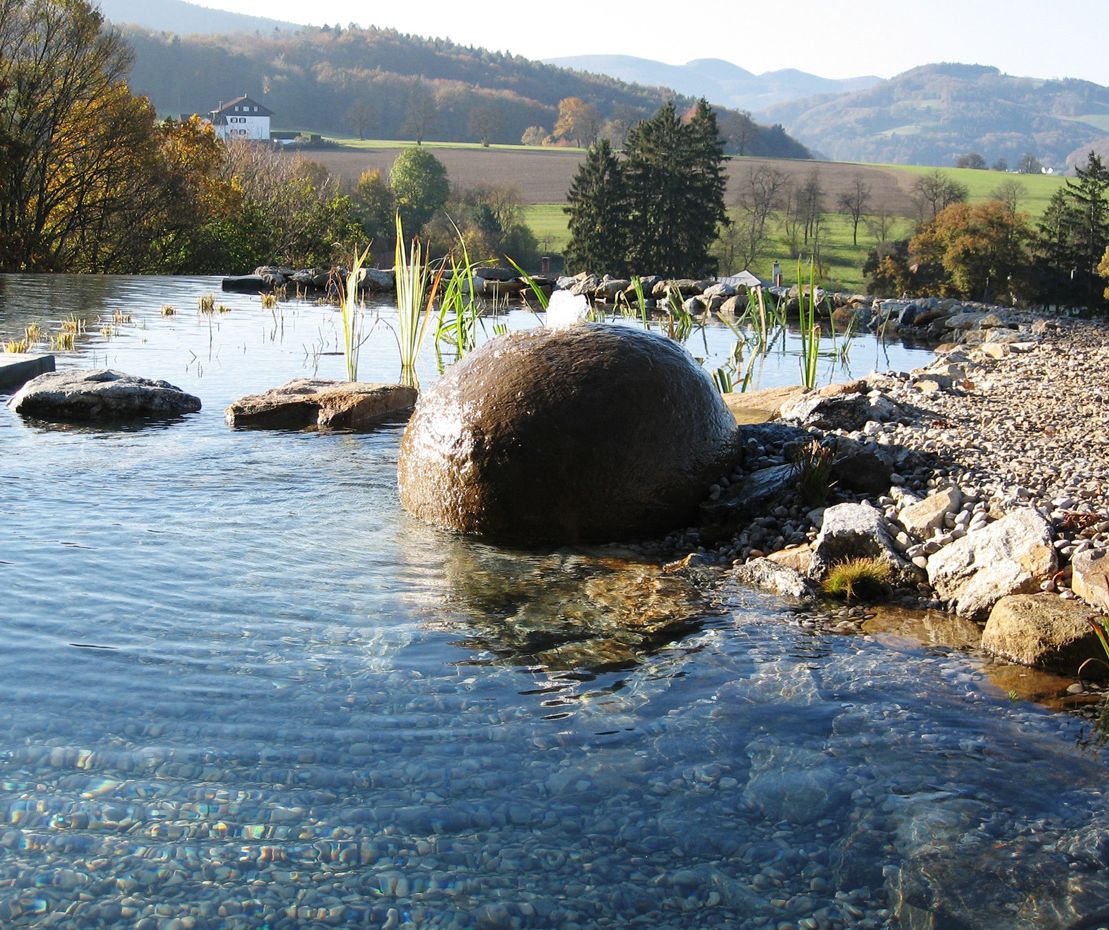 Schwimmteich | St. Pölten