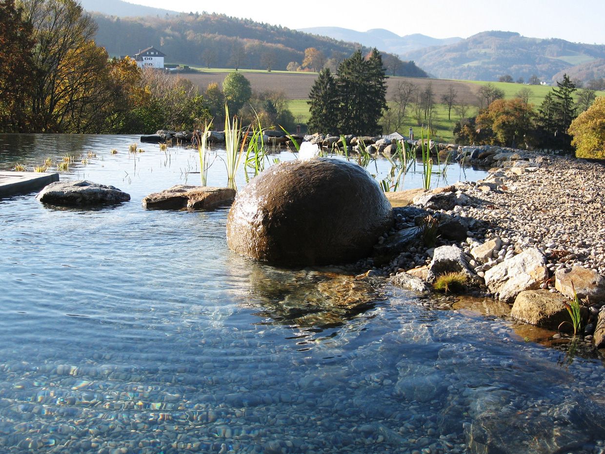 Schwimmteich | St. Pölten