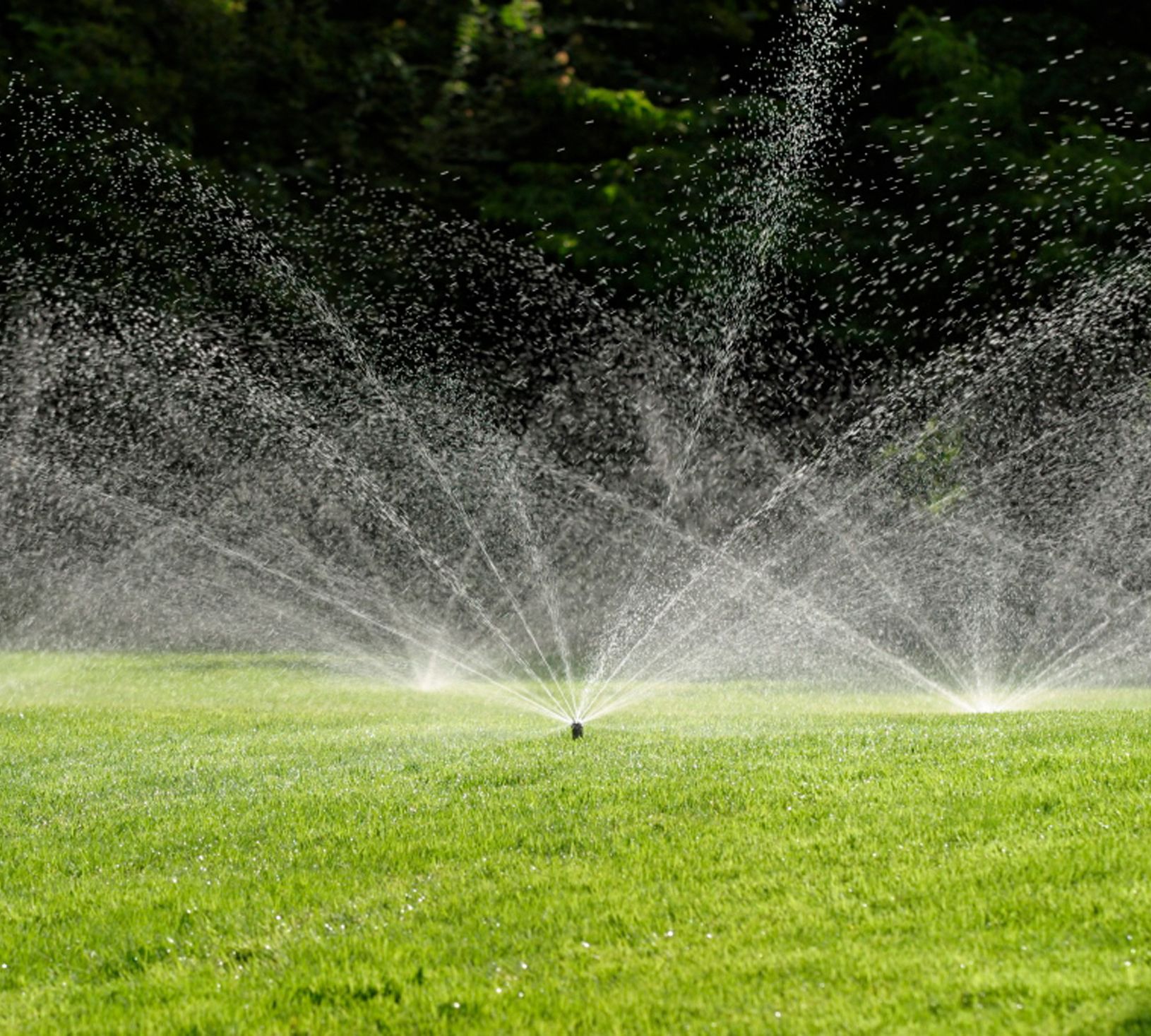 Bewässerung im Garten