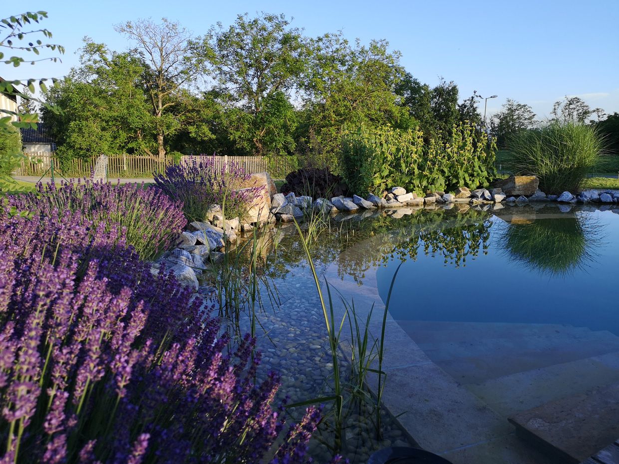 Schaugarten | Dallhammer GmbH in St. Pölten