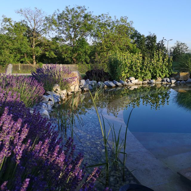 Schaugarten | Dallhammer GmbH in St. Pölten