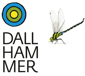 Logo - DALLHAMMER GmbH