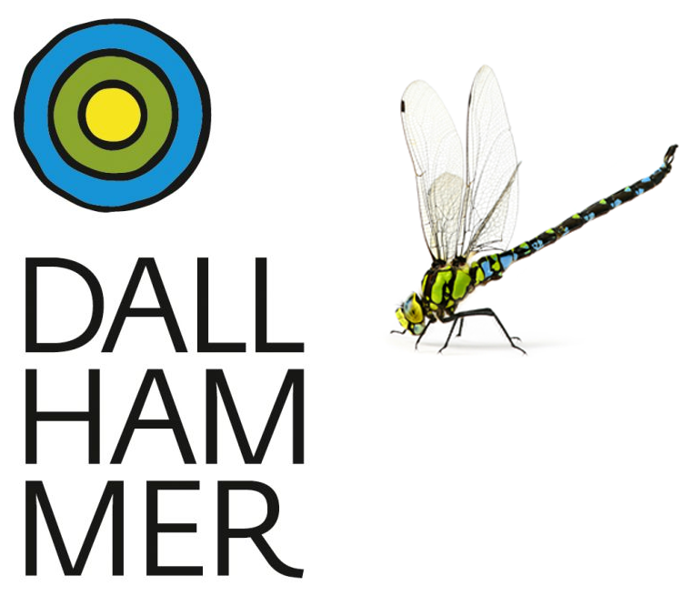 Logo - DALLHAMMER GmbH